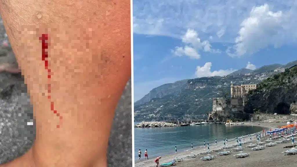Maiori morso pesce bagnante