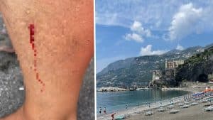 Maiori morso pesce bagnante