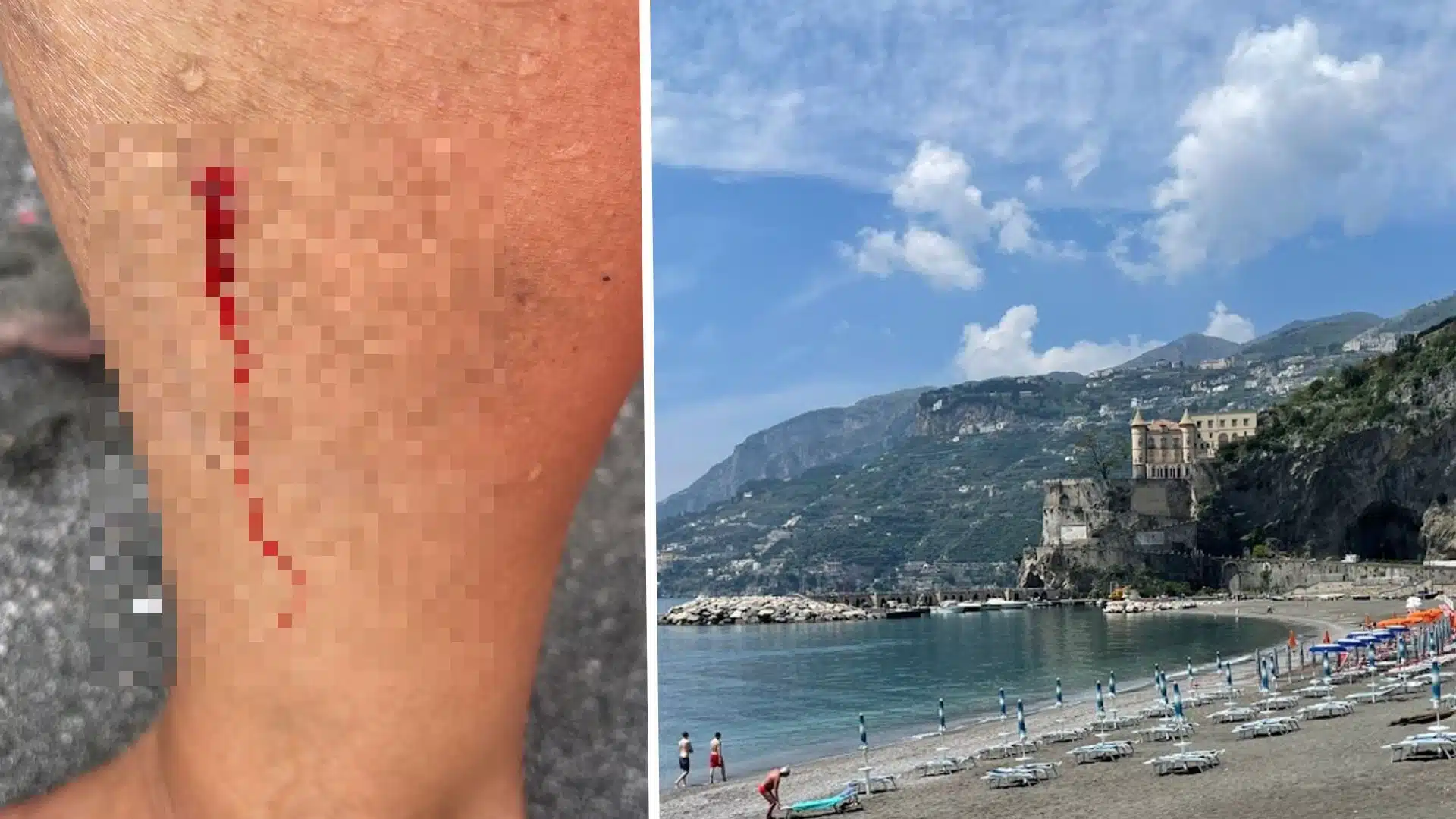 Maiori morso pesce bagnante