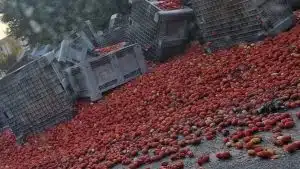 incidente fisciano autostrada avellino salerno 4 agosto
