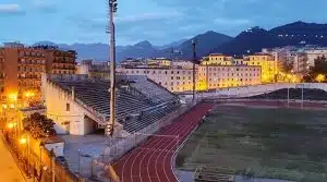 salerno chiuso stadio vestuti nidi api calabroni