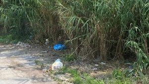 rifiuti abbandonati Salerno