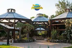 Salerno Fly Group gestione Parco Mercatello