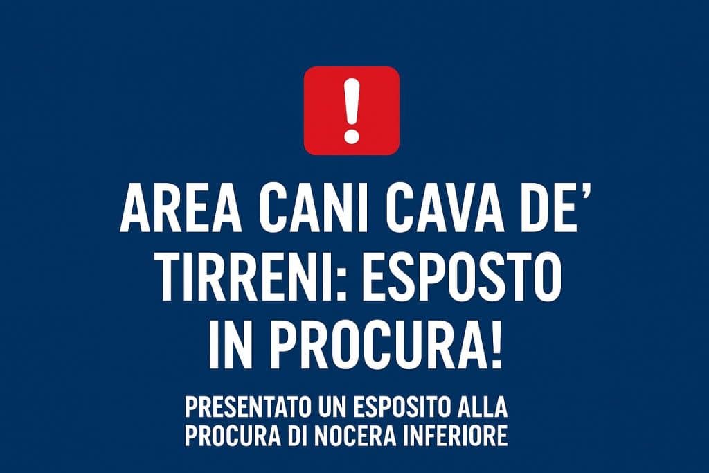 criticità area cani cava de tirreni esposto procura
