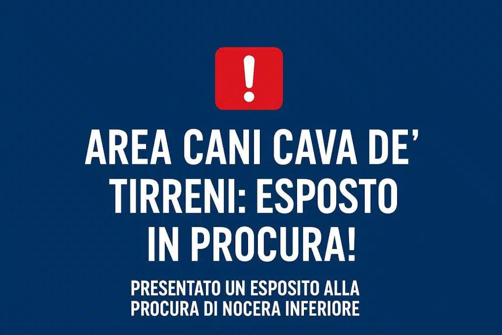 criticità area cani cava de tirreni esposto procura