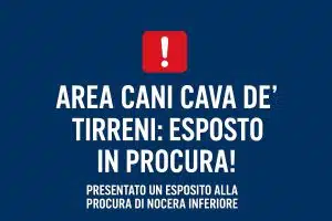 criticità area cani cava de tirreni esposto procura
