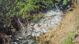 Capaccio Paestum smaltimento illecito reflui denunciato
