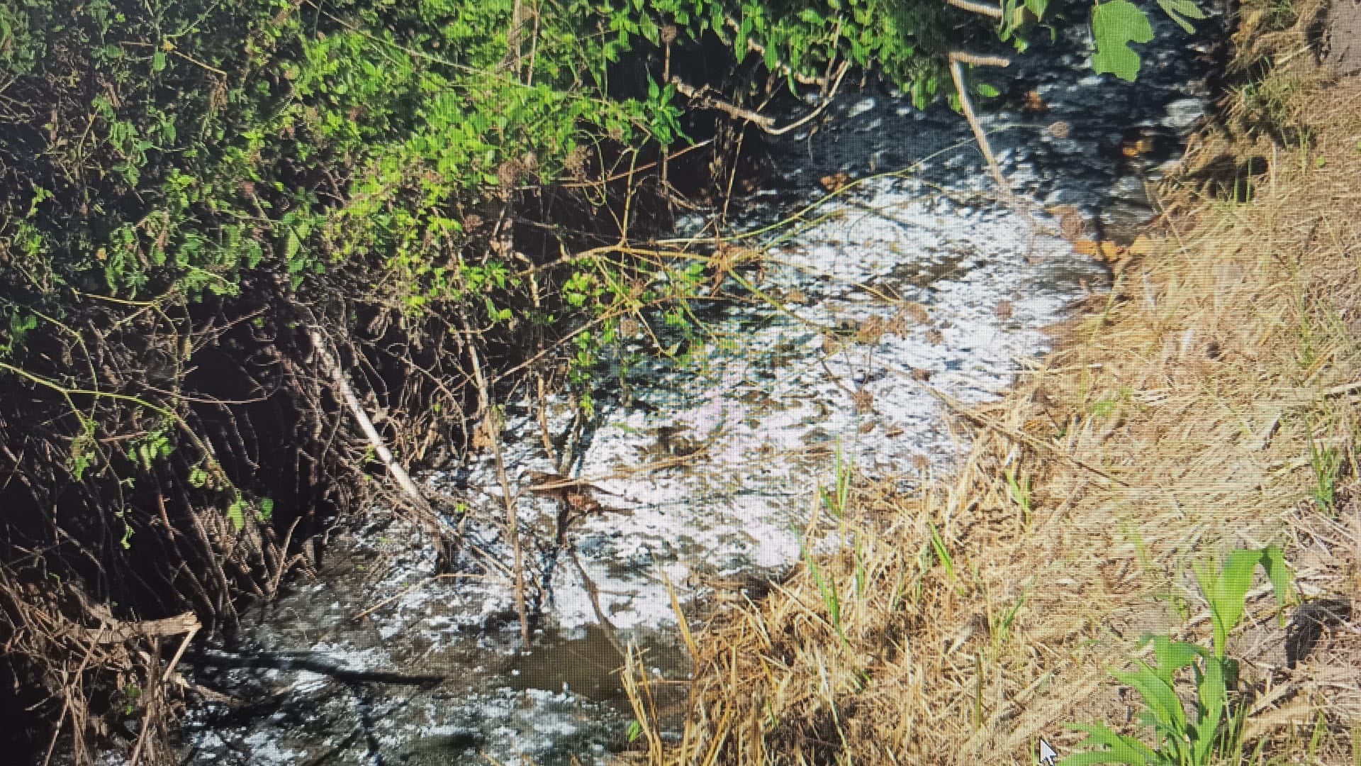 Capaccio Paestum smaltimento illecito reflui denunciato