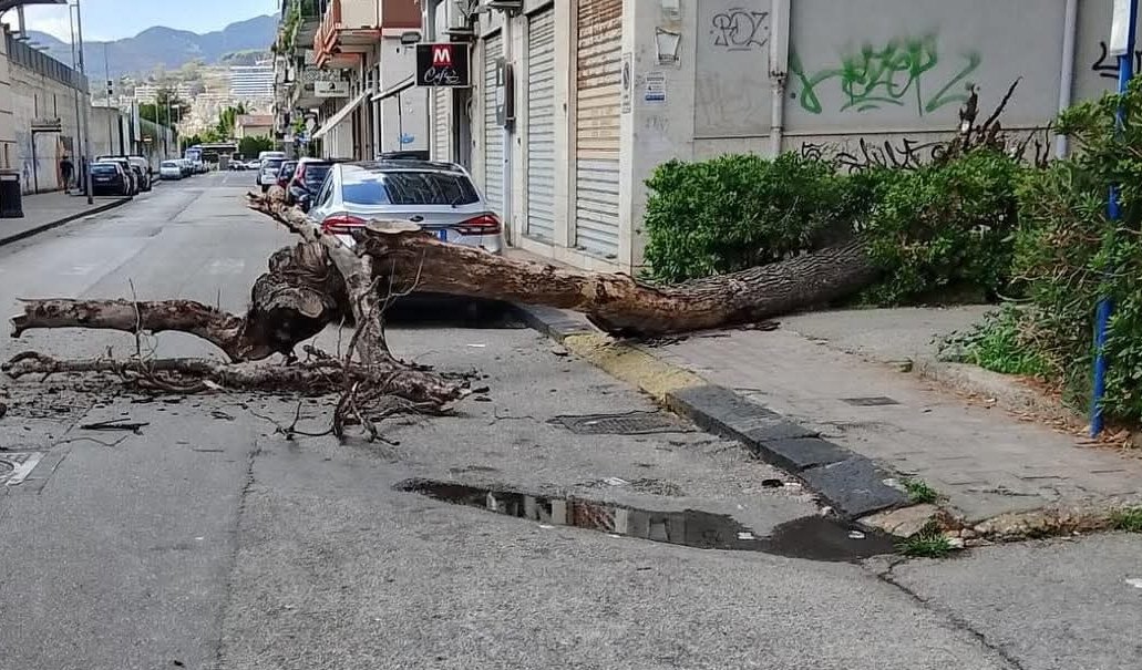 Salerno, cadono calcinacci e un albero: paura tra i cittadini, nessun ferito