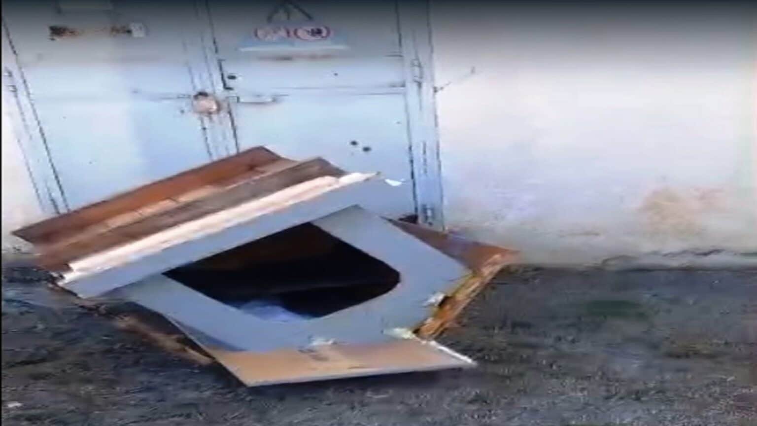 Albanella cuccia vandalizzata