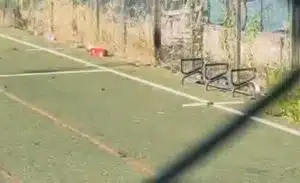 salerno degrado quartiere mariconda denuncia europa verde