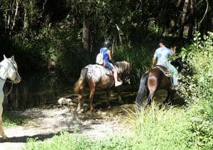 prignano cilento primo raduno equestre domenica 28 settembre