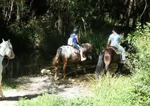 prignano cilento primo raduno equestre domenica 28 settembre