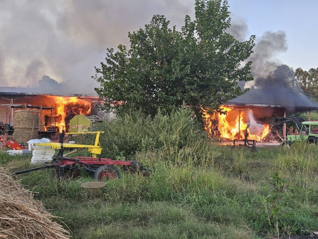 incendio Castelnuovo Cilento