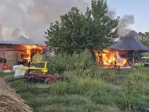 incendio Castelnuovo Cilento