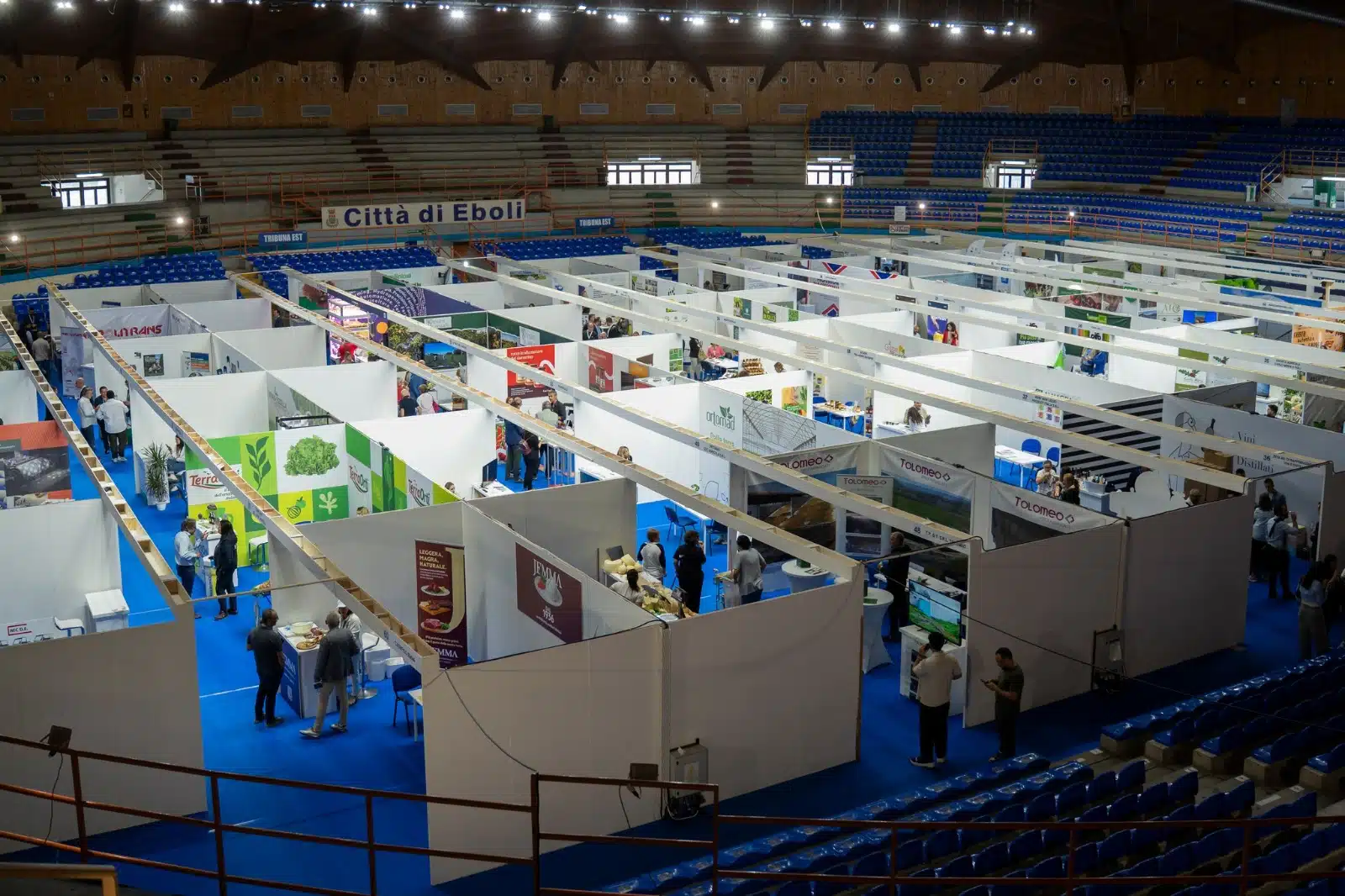 exposele 2025 eboli domani cerimonia finale