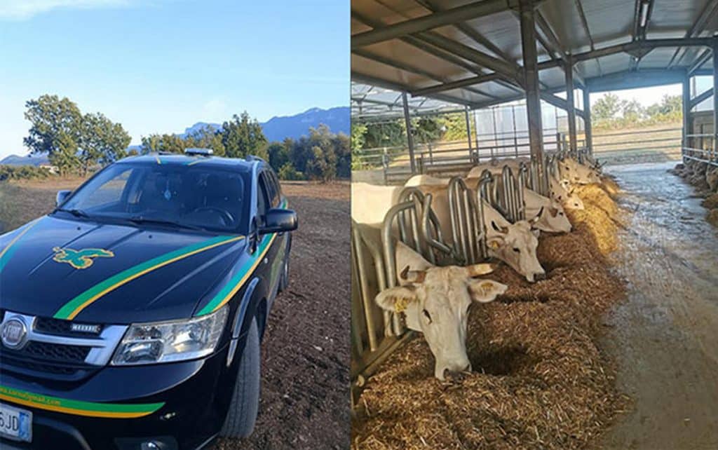 inaugurata nuova sede guardia agroforestale italiana contursi terme