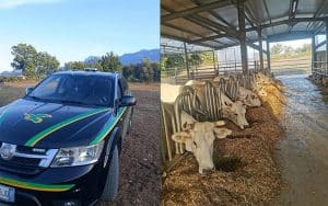 inaugurata nuova sede guardia agroforestale italiana contursi terme