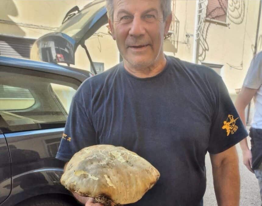 atena lucana porcino record 14 settembre