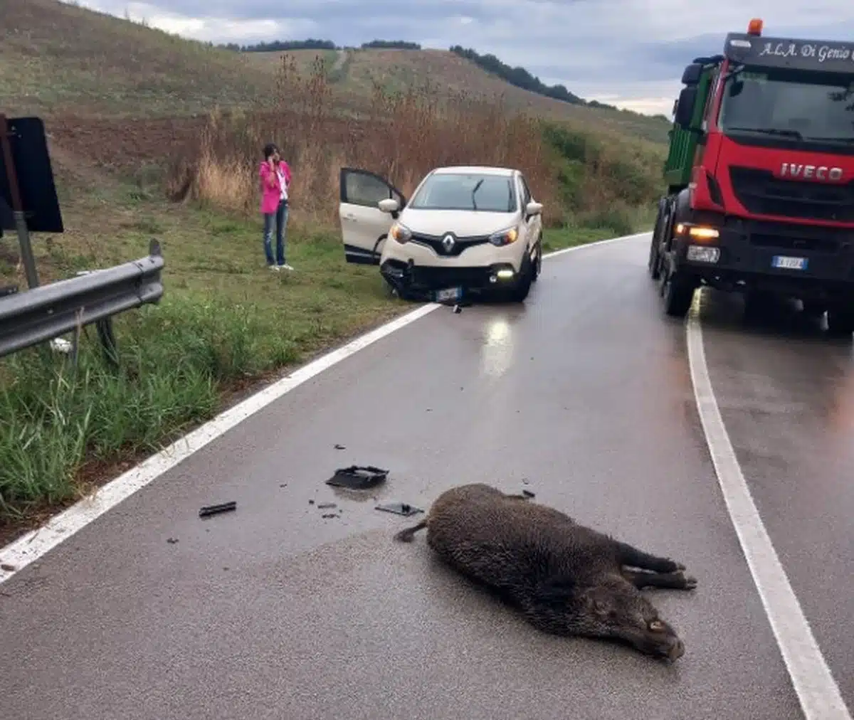 incidente vallo lucania cinghiale oggi 24 settembre