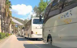 salerno via ligea sosta autobus
