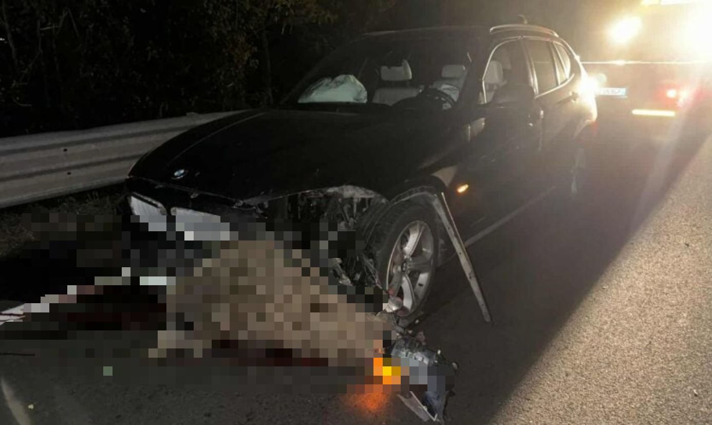 Salerno incidenti cinghiali