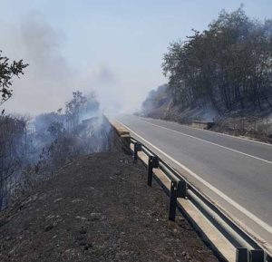 incendio statale 145
