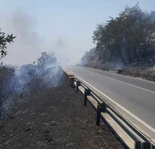 incendio statale 145