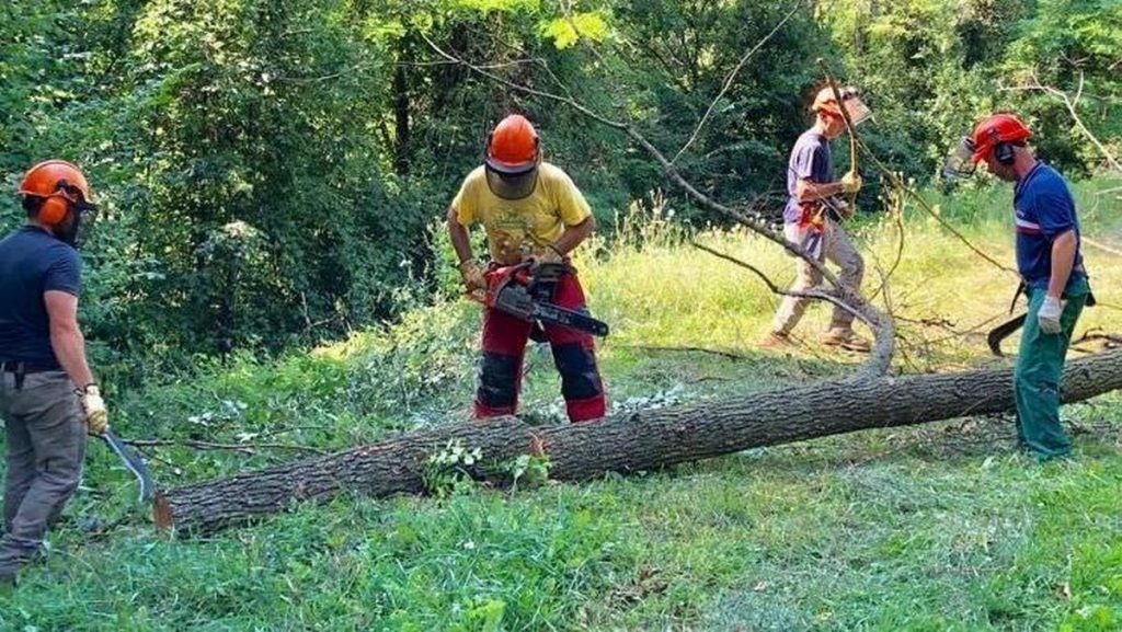 salerno forestali senza stipendio denuncia sindacati