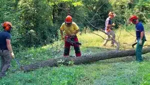 salerno forestali senza stipendio denuncia sindacati
