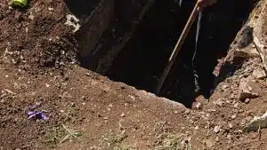 polla bara non entra fossa cosa è successo