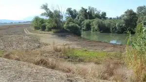 eboli sbancamento abusivo sele denuncia sequestro