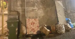 Pellezzano controlli