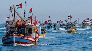 Global Sumud Flotilla sala consilina