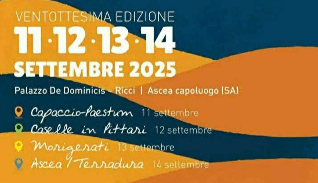 Mediterraneo Video Festival