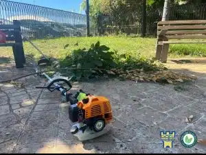 Salerno pulizia giardini Carnale Salerno