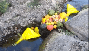 Vallo Scalo, tra i sassi del fiume un altare improvvisato tra frutta, dolci e fiori