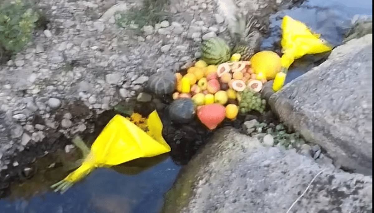 Vallo Scalo, tra i sassi del fiume un altare improvvisato tra frutta, dolci e fiori