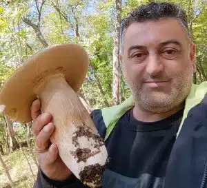 acerno porcino un chilo
