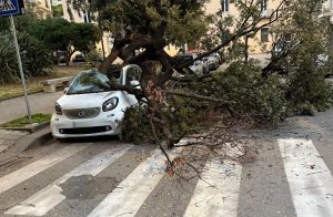 albero crollato salerno 2 settembre