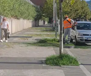 Salerno, interventi di pulizia e manutenzione in viale Gramsci: risposte alle richieste dei residenti