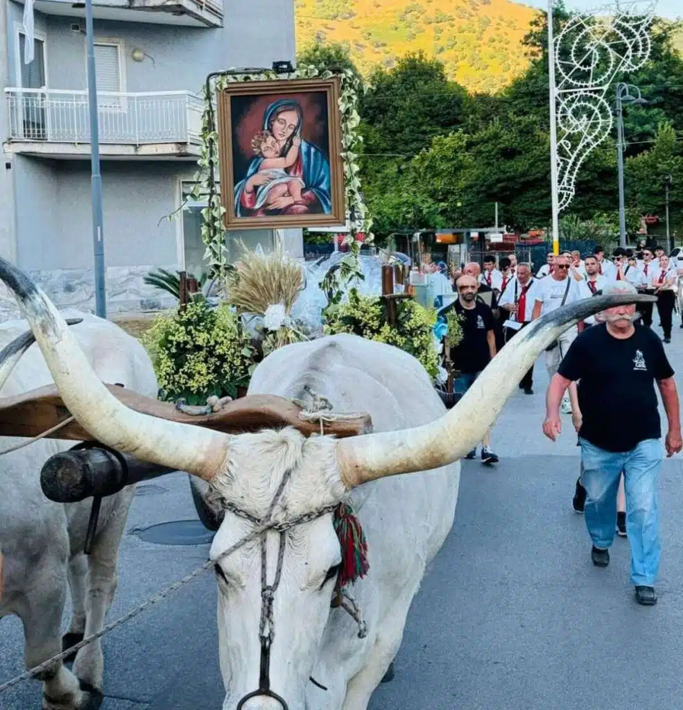 baronissi carro madonna grazie patrimonio culturale immateriale campania