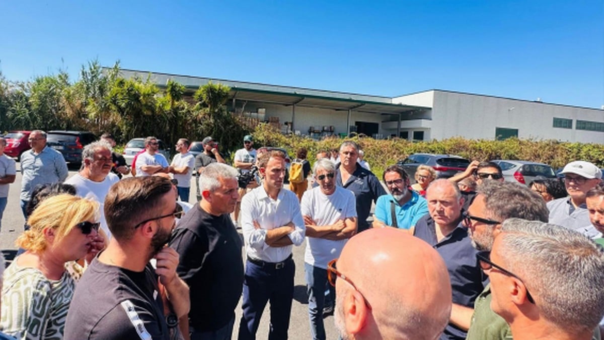 battipaglia cooper standard piero de luca tavolo urgente