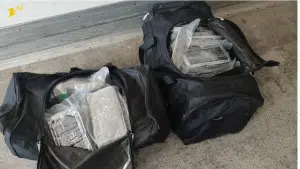 salerno catania cocaina camion processo