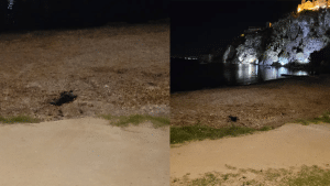 Agropoli turista intrappolato alghe