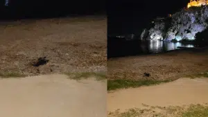 Agropoli turista intrappolato alghe