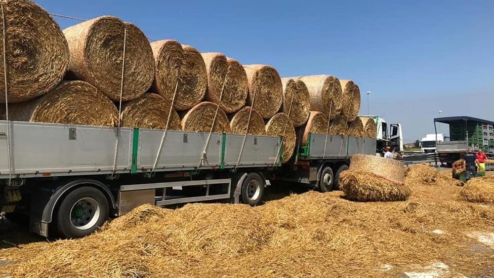camion perde balle fieno raccordo salerno avellino