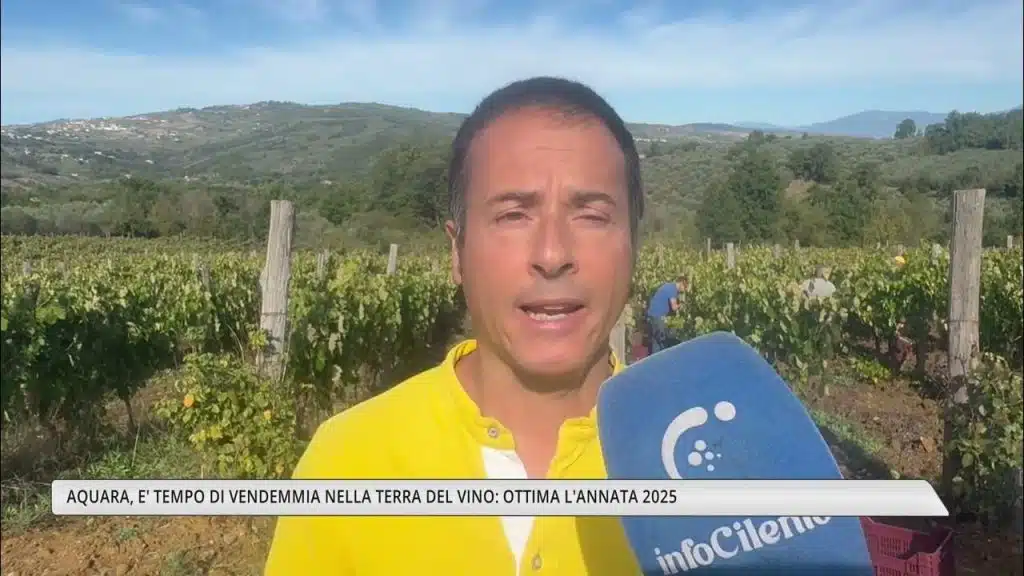 Aquara vendemmia 2025
