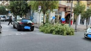 vento salerno alberi caduti 3 ottobre