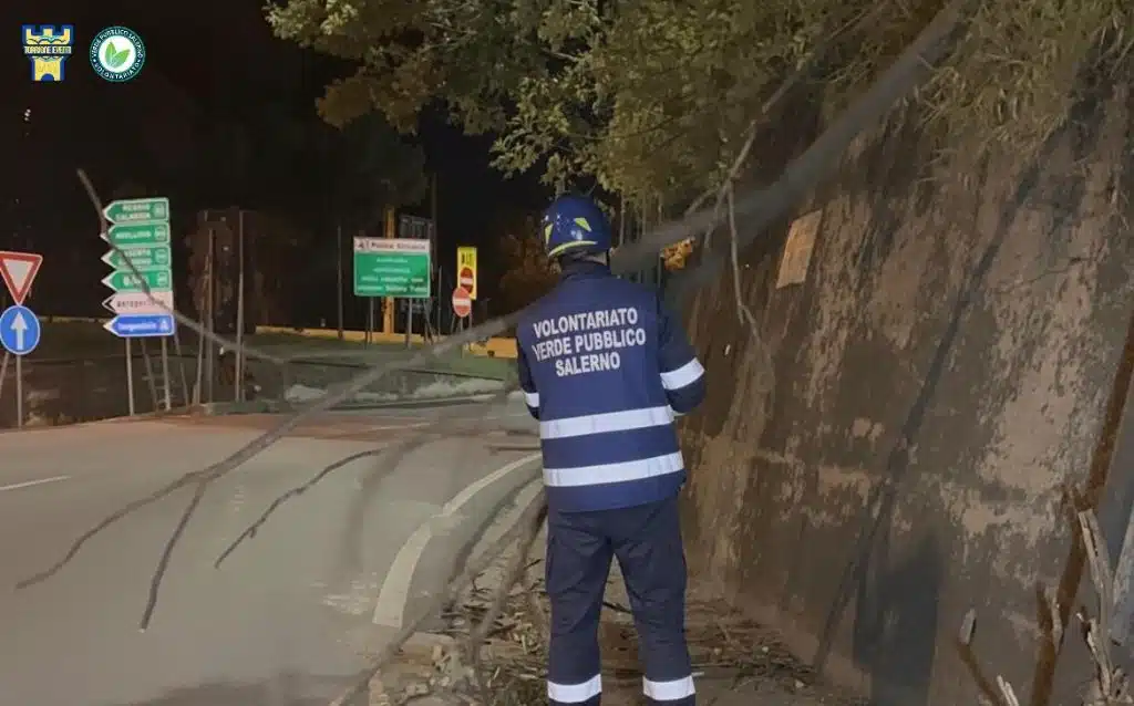 Allerta meteo per vento, volontari in azione a Salerno: monitoraggio e segnalazioni per la sicurezza stradale
